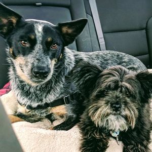 Meet your Posher, May